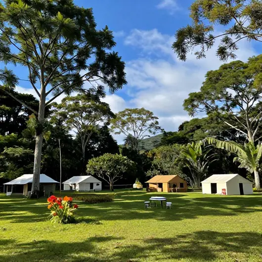 Descubra o Camping Brilho Do Sol Descubra o Camping Brilho Do Sol